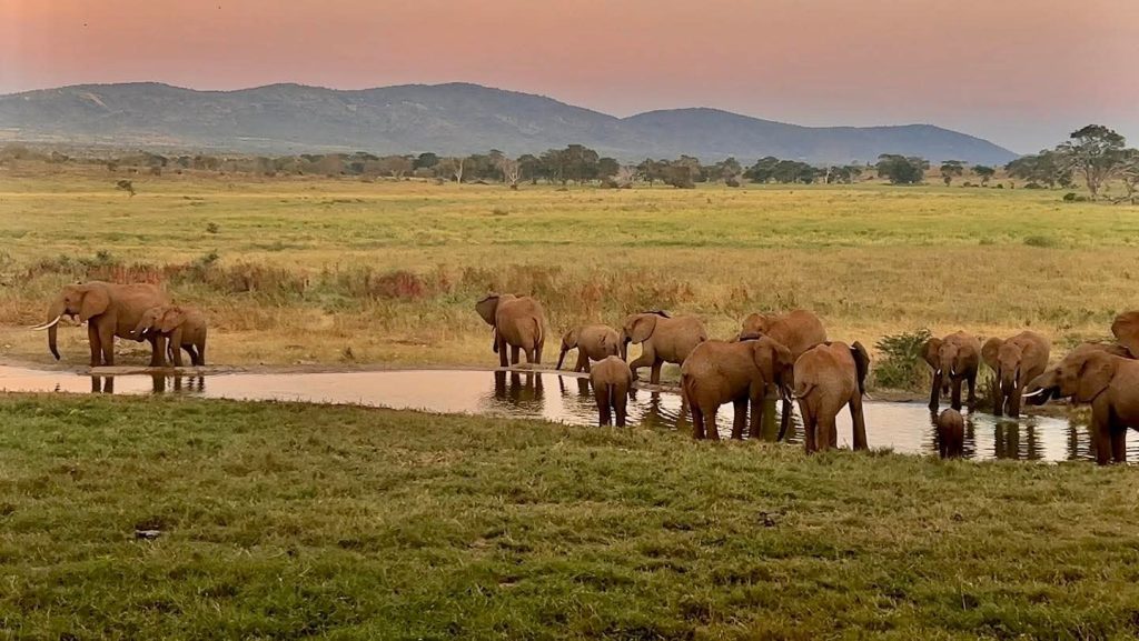 3 dni tsavo east taita hills