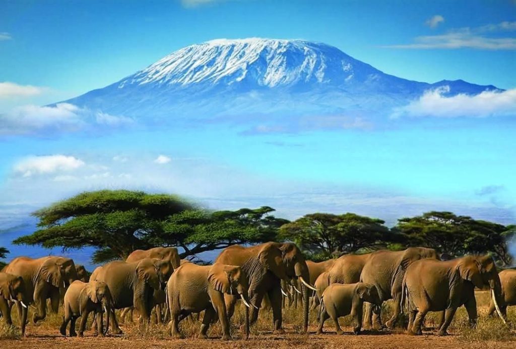 5 dní Tsavo Wes, Amboseli Taita Hills Tsavo East
